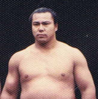 関脇優勝の足跡 | 土俵の目撃者(毎日更新)