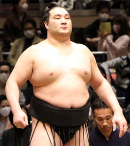 竜電(高田川部屋・東十両八枚目)
