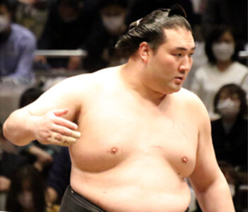 竜電の幕内人生 | 土俵の目撃者(毎日更新)