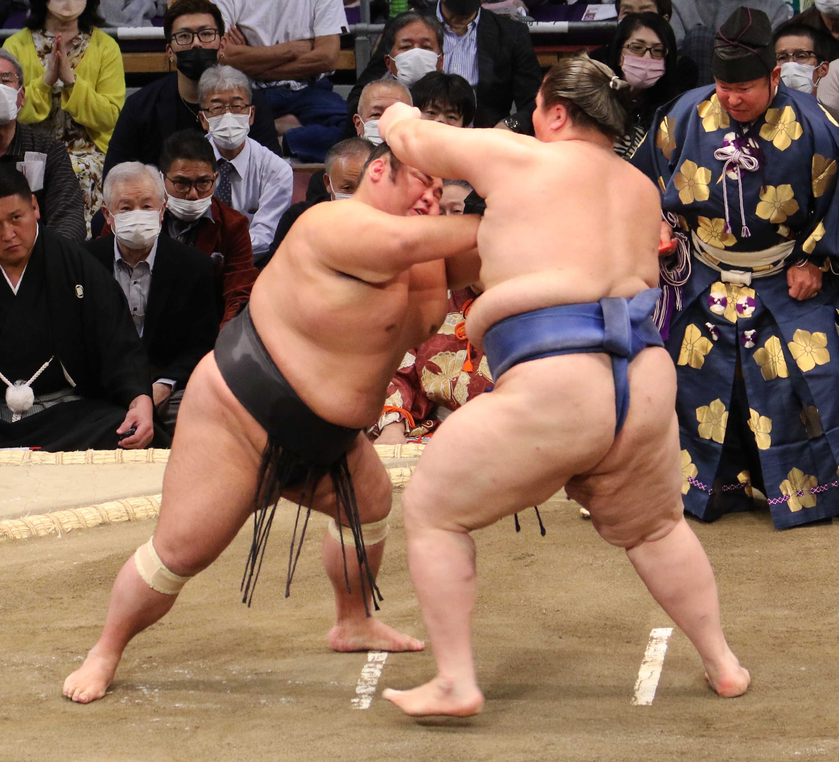 取組の最中に相手の頭へ手が伸びた場面（土俵の目撃者の撮影写真）