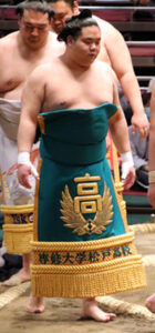 東白龍(玉ノ井部屋・西十両九枚目)