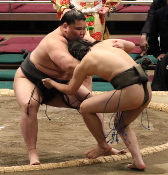 260119九日目幕下以下-019