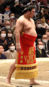 若元春（荒汐部屋）