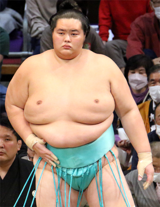 琴櫻