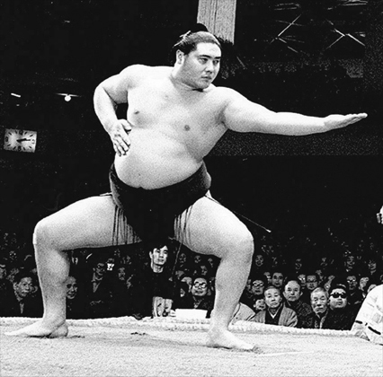 大鵬