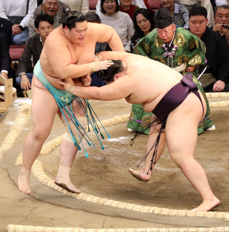 優勝した2024年十一月場所王鵬に敗れる