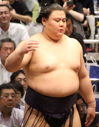 義ノ富士