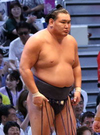 豊昇龍