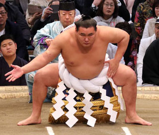 豊昇龍