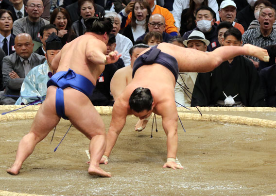三月藤ノ川豊昇龍に快勝