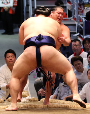 大の里自分の相撲が取れた