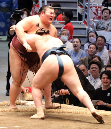 優勝決定巴戦　安青錦が熱海富士にリベンジ