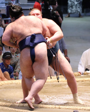 安青錦１敗死守