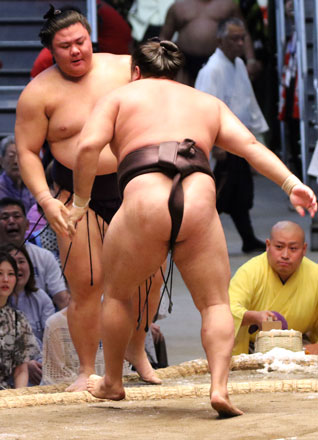 霧島難敵を一蹴
