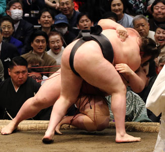 安青錦と熱海富士(向)の優勝決定戦