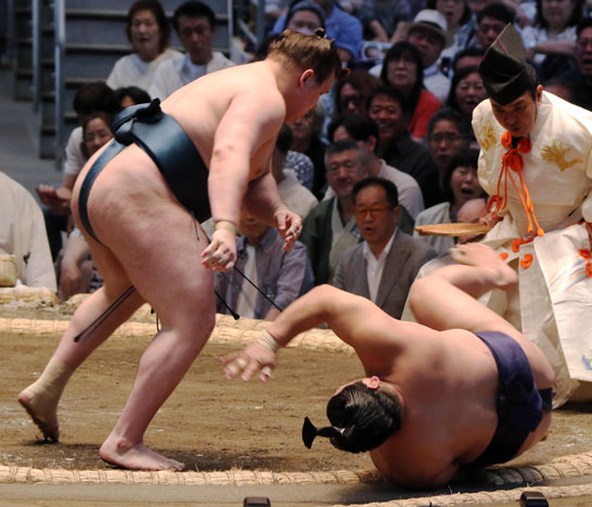 安青錦平戸海を一蹴