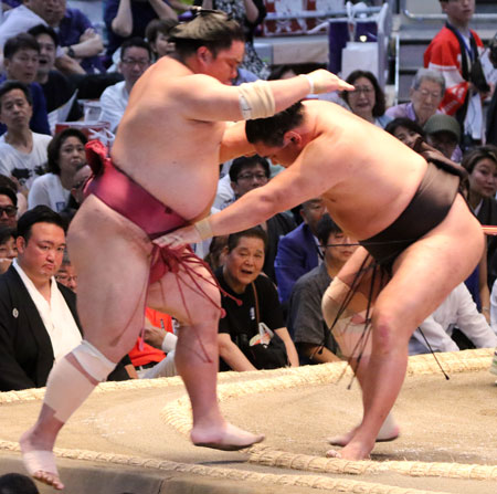 霧島熱海富士に完勝
