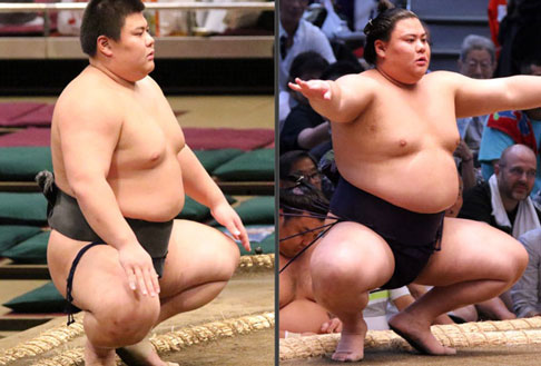 義ノ富士