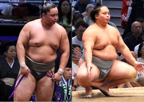 琴勝峰
