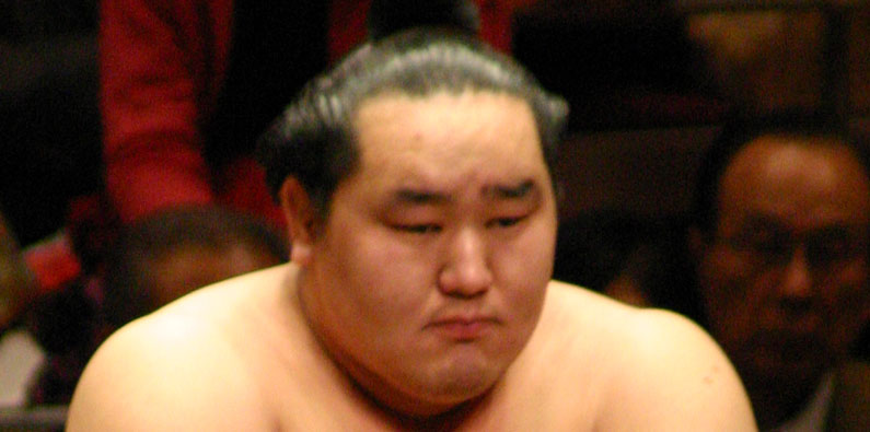 朝青龍対白鵬29番勝負　1