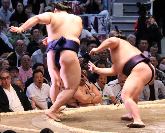 義ノ富士に敗れた大の里