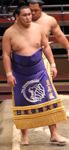 新入幕豊昇龍