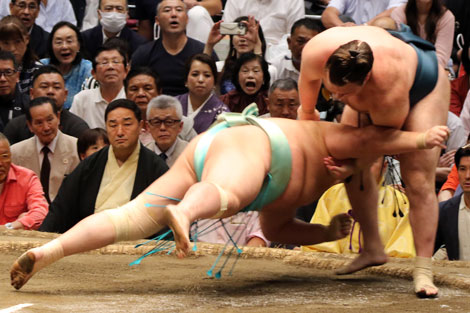 安青錦、琴櫻に肩透かし