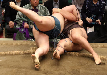 安青錦、霧島に勝って３敗死守