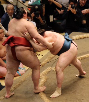 安青錦、熱海藤に完勝