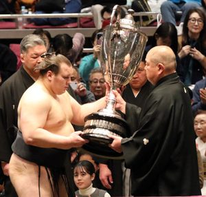 安青錦横綱の可能性