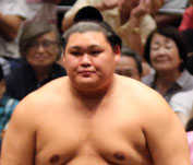 大の里