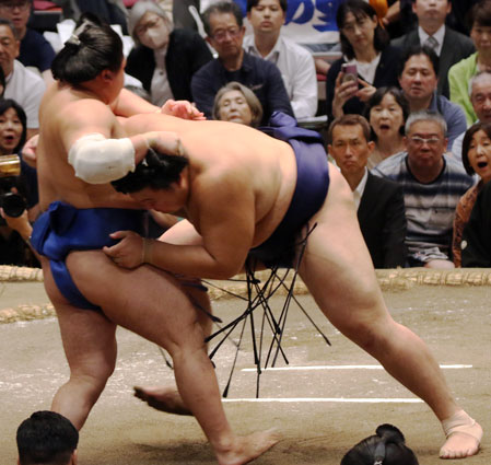 ◆26秋11日目　２敗なし！大の里２差つけトップ