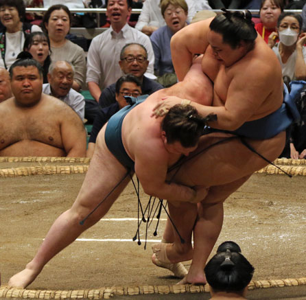 安青錦、琴勝峰に渡し込み