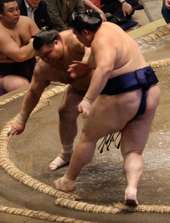 大の里の連続はたき
