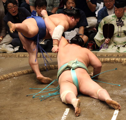 ◆26秋９日目　藤ノ川、琴櫻との２敗対決を制す