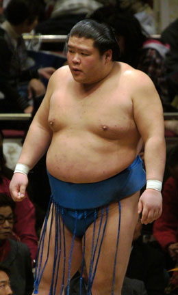 土佐豊