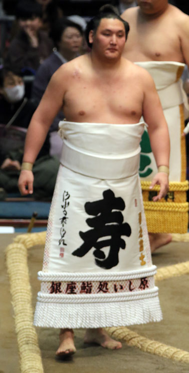 新十両