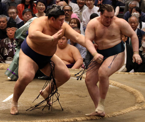 大の里が安青錦を圧倒