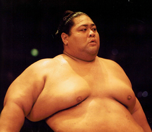 最高位大関の好成績数