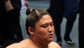 幕下のヤングパワー