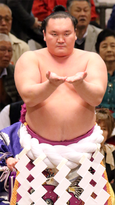 白鵬