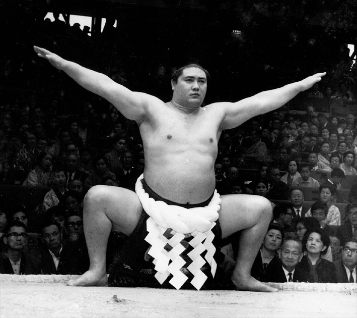 大鵬