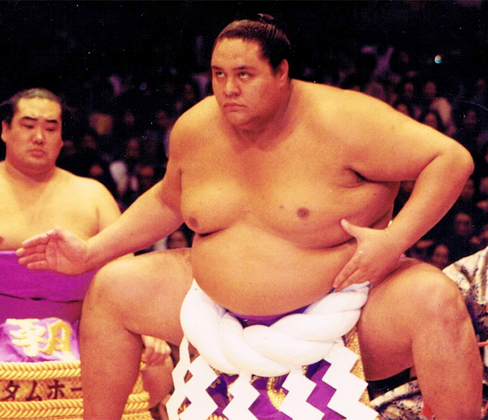 曙