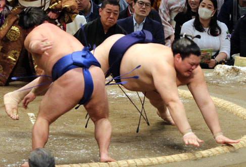 幕内2026年3月大の里から金星